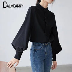 Lantern Long Sleeve Blouse