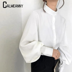 Lantern Long Sleeve Blouse