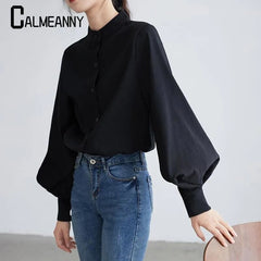 Lantern Long Sleeve Blouse