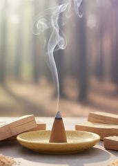 Palo Santo Incense Cones