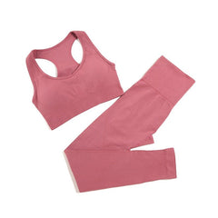 2/3/4pcs Seamless Yoga Set - Polished 24/7