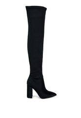 Schiffer High Block Heeled Long Boot