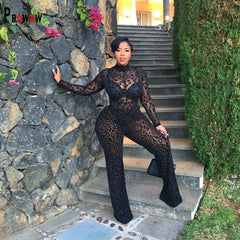 🔥 Sexy Sheer Mesh Jumpsuit – Slim Fit, Long Sleeve, Zipper One-Piece for Bold Nightclub & Party Looks! 🔥