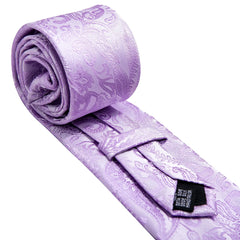 Purple Violet Solid Paisley Striped Ties