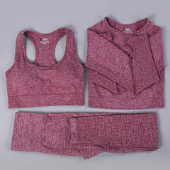 2/3PCS Seamless Workout Sportswear