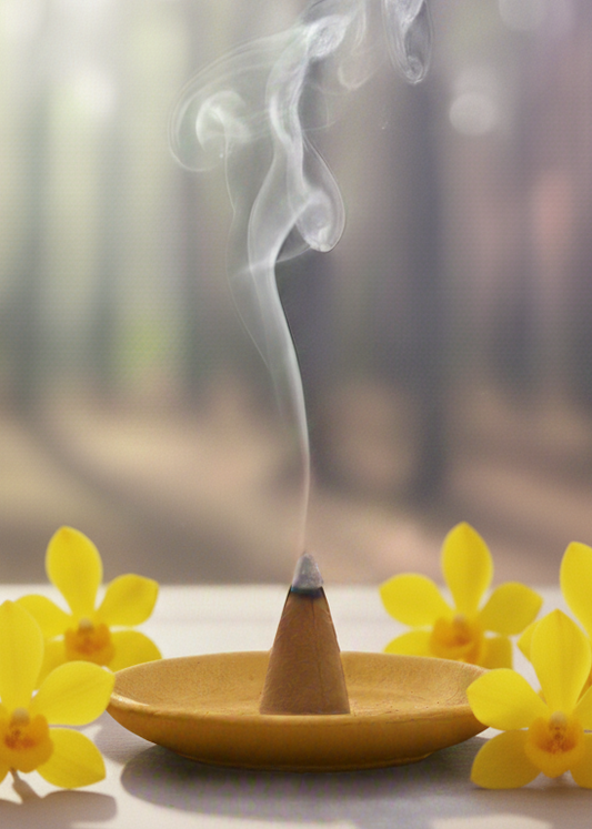Nag Champa Incense Cones
