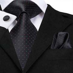 Classic Silk Ties - Polished 24/7