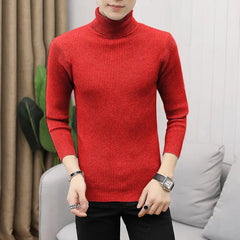 Turtleneck Casual Knitted Sweater - Polished 24/7